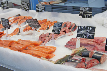 Pieces of fillet of trout, sturgeon, salmon frozen in the refrigerator