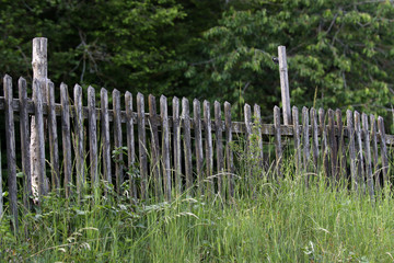 Fototapeta na wymiar Old garden fence made of natural wooden planks