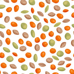 Lentils red, green and brown seamless pattern. Beans isolated on white background. Vector illustration of  healthy food in cartoon flat style.