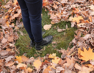 Obraz premium Women's feet in black shoes standing on green grass surrounded by fallen autumn leaves in the shape of a heart