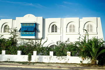 blue Windows and white walls of houses in Tunisia against a background of blue sky and bright sunlight. there are green plants on the street