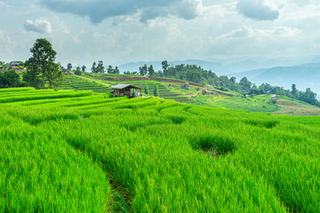 Pa Bong Piang Rice Terraces in Mae Chaem, Chiang Mai, Thailand.