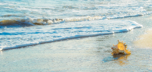 Sea Sunset, Summer background, Travel concept © Vladimir