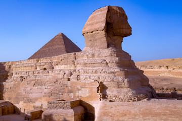 Fototapeta na wymiar Classic view of Sphinx, Giza plateau. Cairo, Egypt