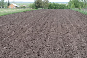 Freshly plowed land in the Polish countryside