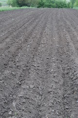 Freshly plowed land in the Polish countryside