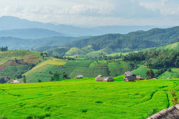 Pa Bong Piang Rice Terraces in Mae Chaem, Chiang Mai, Thailand.