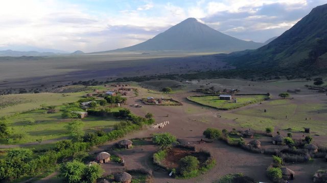 Aerial View on Sheep Flock in Maasai village in front of the Ol Doinyo Lengai (Mountain of God in the Maasai language), an active volcano in Arusha Region i the Northern Tanzania, Africa, at Sunset