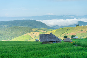 Pa Bong Piang Rice Terraces in Mae Chaem, Chiang Mai, Thailand.