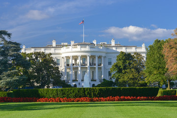 White House in Autumn foliage - Washington D.C. United States of America

