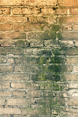 Brick wallpaper, texture. Background for creative design. The white vintage wall is covered with mold.