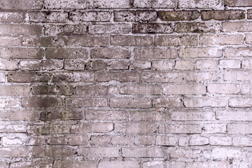 Brick wallpaper, texture. Background for creative design. The white construction is covered with mold.
