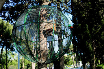 Big cage on the tree. Parrots in a cage in the park