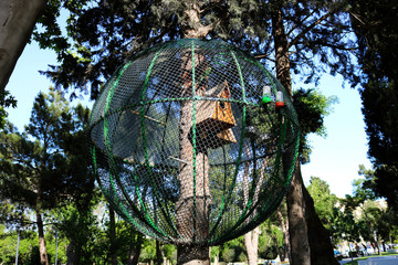 Big cage on the tree. Parrots in a cage in the park