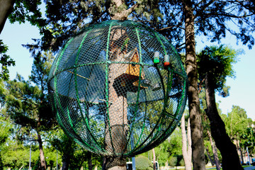 Big cage on the tree. Parrots in a cage in the park