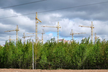 Building tower cranes rise above a construction site surrounded by woodland against a cloudy sky. The development of a residential quarter in the forest. Man comes to nature.