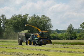 Harvesting grass with hay or silage tractor and trailer