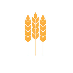 wheat vector icon gluten sign	
