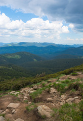 Fototapeta premium View from the top of the Hoverla Mountain in Carpathian Mountains, Ukraine.