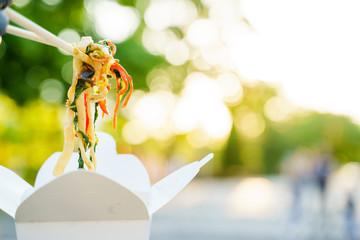 Closeup udon noddles on blurred background gets out of the white box. Advertise for Japanese...