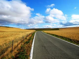 Fototapeta premium Rural road on a sunny day