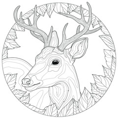 Deer. Leaves around.Coloring book antistress for children and adults. Illustration isolated on white background.Zen-tangle style.