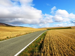 Fototapeta na wymiar Sunny day on a road through fields in Spain