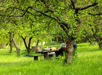 Outdoor picnic: the family sits at the table in the apple orchard in spring or summer on a warm, sunny day.