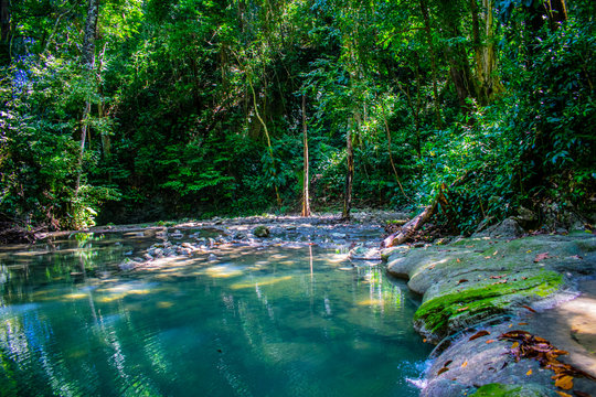 paisaje de rio en la jungla izabal