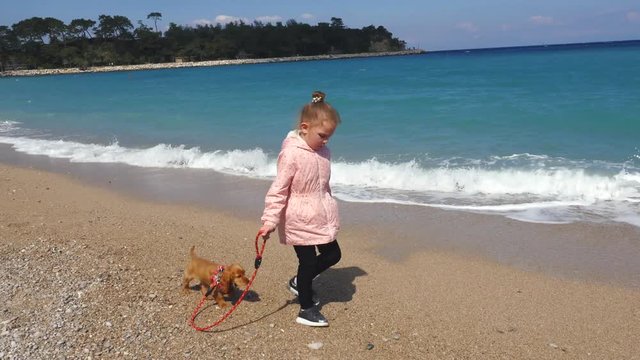 Little girl walking her cocker spaniel puppy on the leash by the seaside