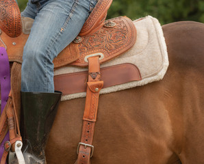 horse with western saddle and saddle pad 