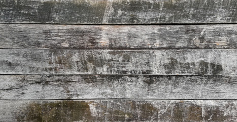 texture of old wood planks wall background