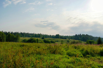 Wild field with flowers at steppe landscape