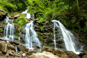 Obraz premium water, river, waterfall, stream, nature, forest, 