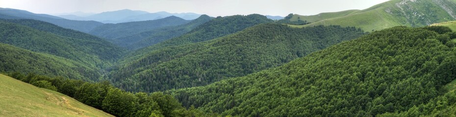 Fototapeta na wymiar Panoramic view of Irati Woods, in Spain