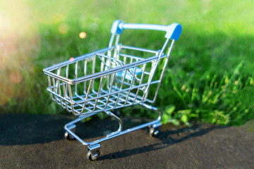 Closeup of shopping cart is on green grass background. Concept of delivery service and online...