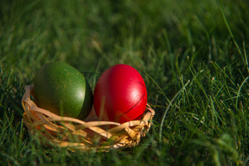 Easter eggs on the grass