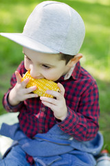 Toddler boy eats corn cob