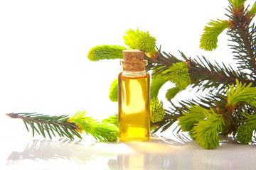 Essence of pine on table in beautiful glass jar