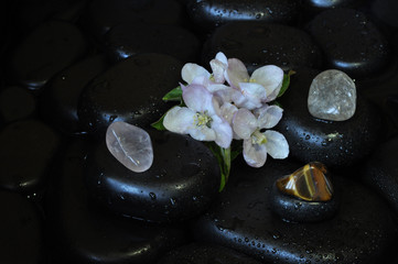 Obraz na płótnie Canvas spa still life with stones and orchid
