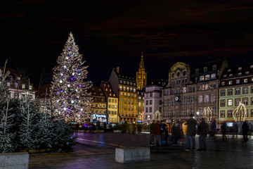 Fototapeta na wymiar Gigantic Christmas tree in the biggest place of Strasbourg, Kleber place, illuminated during the Christmas season
