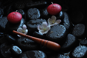 spa still life with stones and orchid