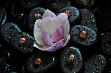 spa still life with stones and orchid