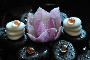 spa still life with stones and orchid
