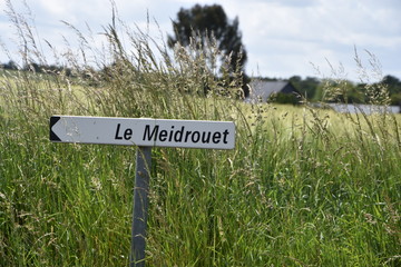 campagne, antrain, rennes, herbe, vert, 