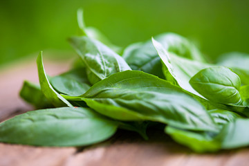 Fresh organic basilic leaves on a wooden surface.