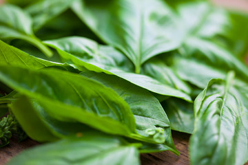 Obraz premium Fresh organic basilic leaves on a wooden surface.