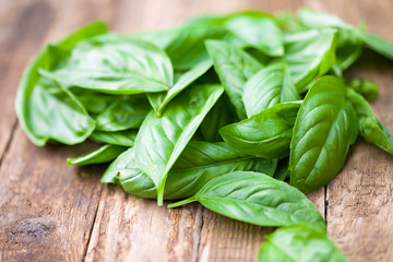 Fresh organic basilic leaves on a wooden surface.