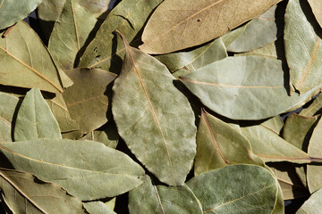 seasoning bay leaf, top view