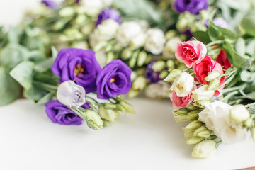 Spring flowers on white background. Abstract spring background with bloom.
